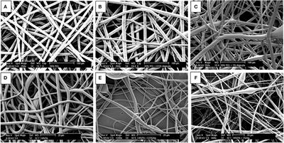 Hybrid Polyester-Hydrogel Electrospun Scaffolds for Tissue Engineering Applications